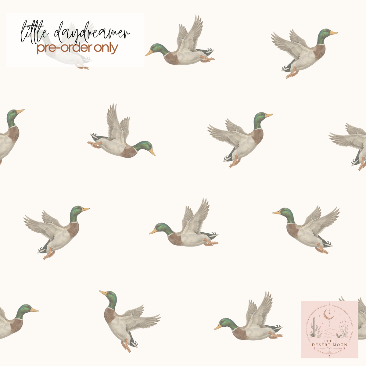 🦆🤎 First Flight | Pre-Order Only 🌾✨