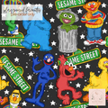 ⭐🌈 Sunny Street Crew | Pre-Order Only